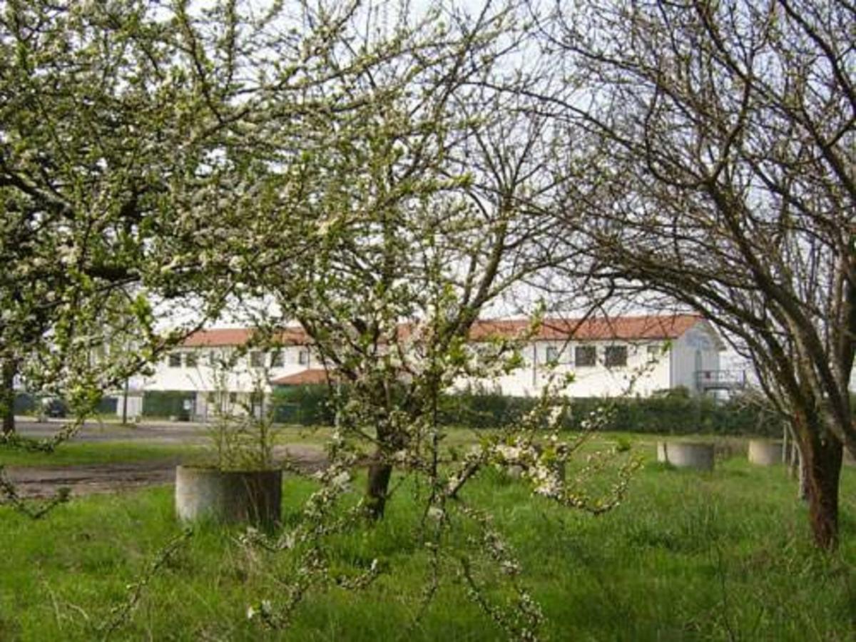 Hotel Lory Ficarolo Exterior foto